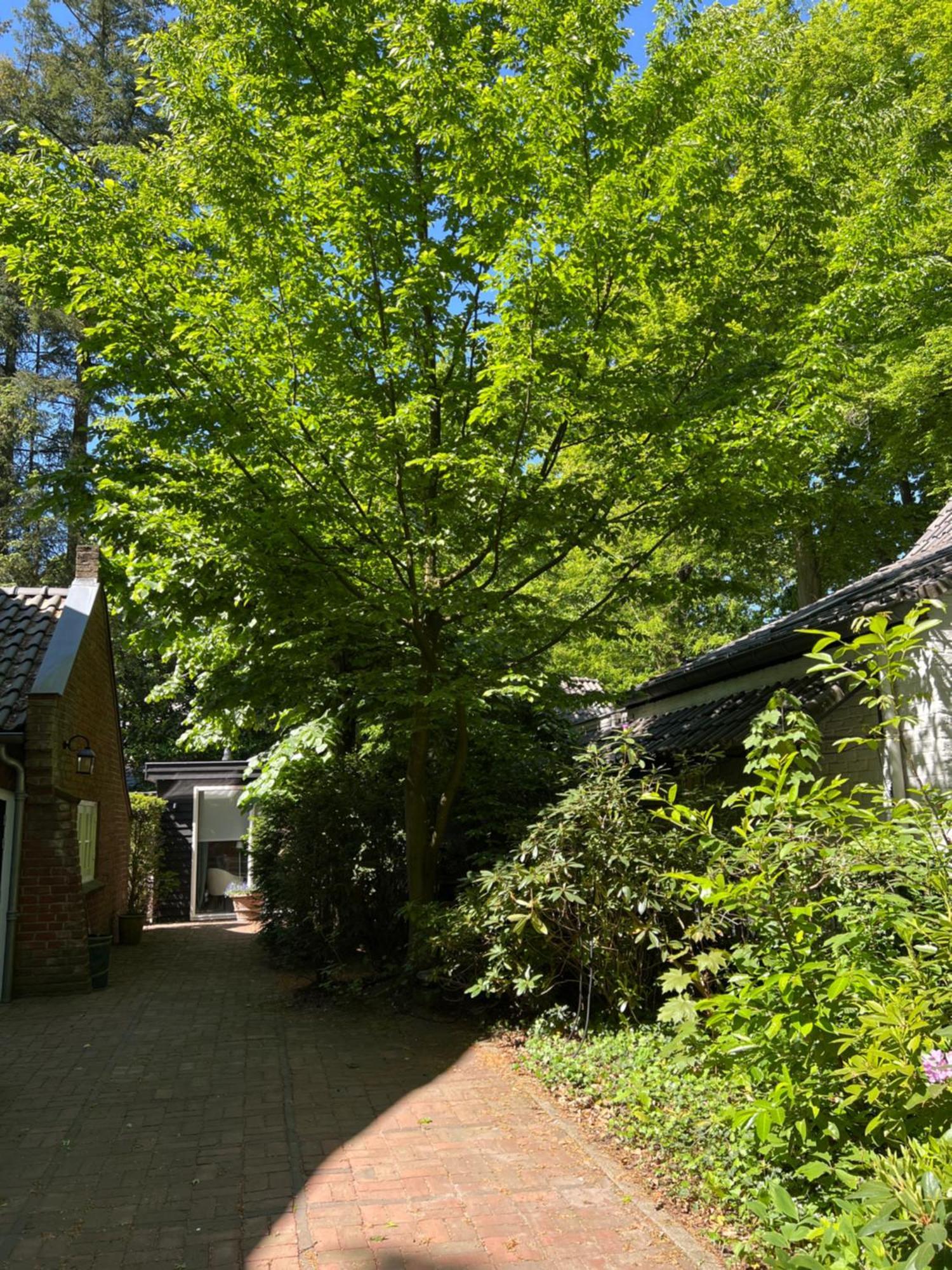De Merel Vught Exterior photo