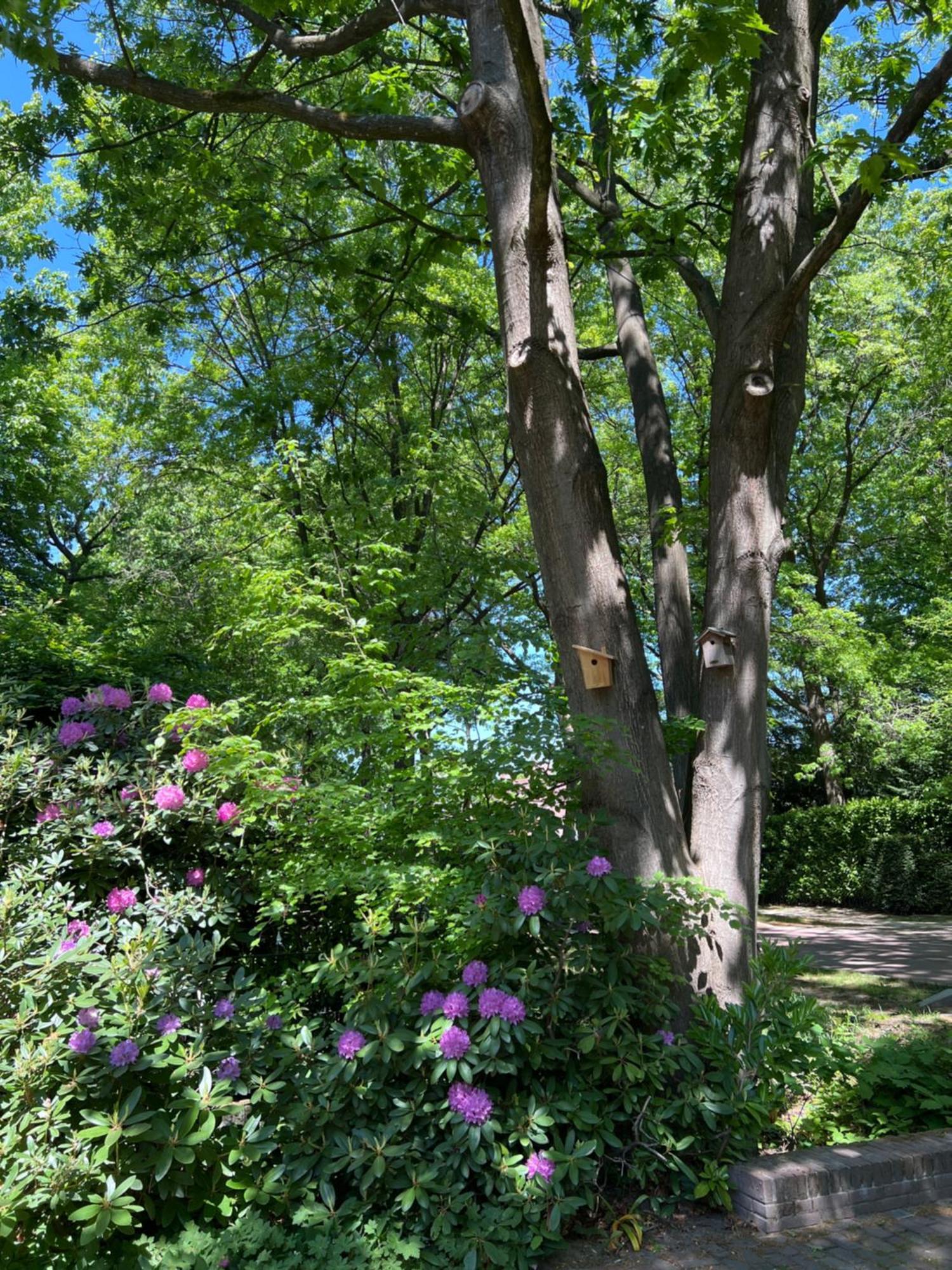 De Merel Vught Exterior photo